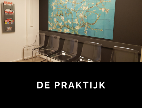 DE PRAKTIJK